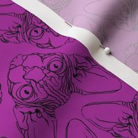 Sphynx lines fabric Purple