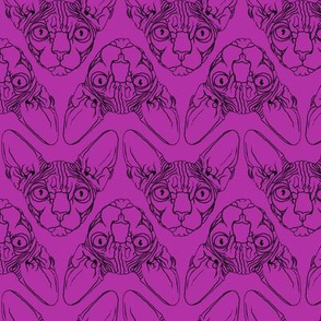 Sphynx lines fabric Purple