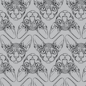 Sphynx lines fabric Grey