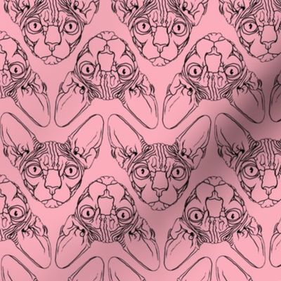 Sphynx lines fabric pink