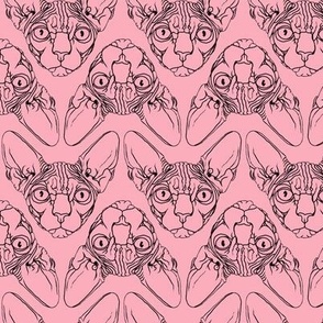 Sphynx lines fabric pink