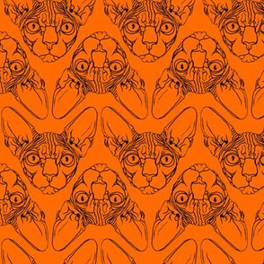 Sphynx lines fabric orange