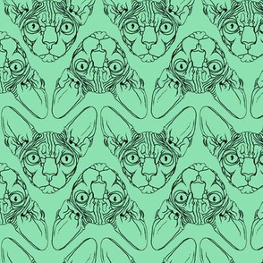 Sphynx lines fabric mint green