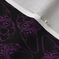 Sphynx lines fabric black & purple