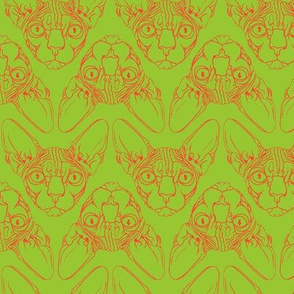 Sphynx lines in  lime green & orange