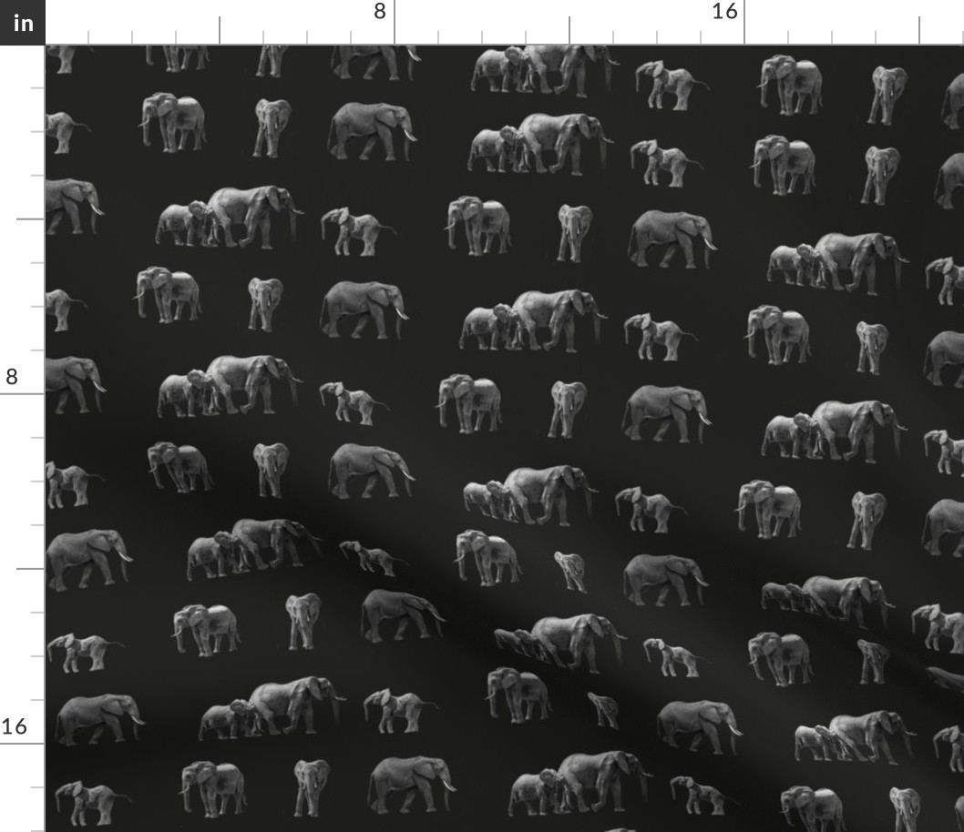 Elephants_black