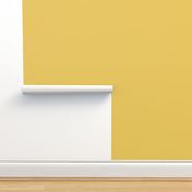 solid yellow ochre (EAC85D)