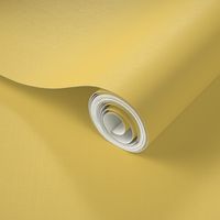 solid yellow ochre (EAC85D)