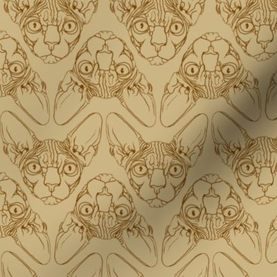 Sphynx lines fabric khaki & brown