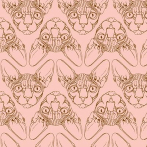 Sphynx lines fabric peach & brown