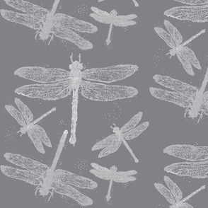 Dragonflies on Grey