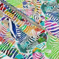 Zebra Rainbow (Large Scale)