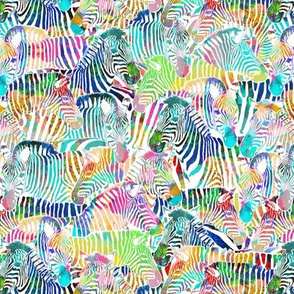Zebra Rainbow (Small Scale)