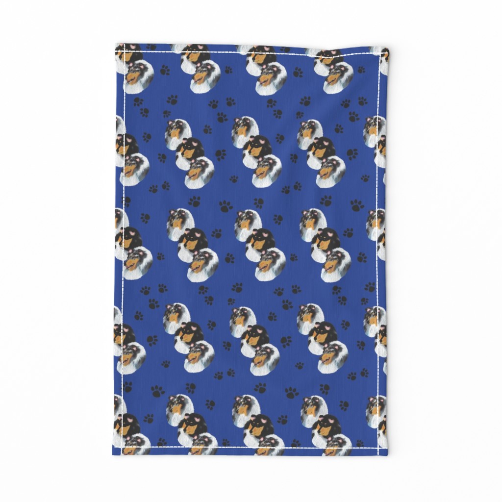 Collies with blue background with paw prints
