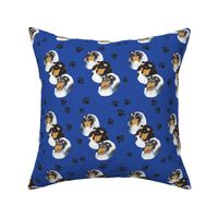 Collies with blue background with paw prints