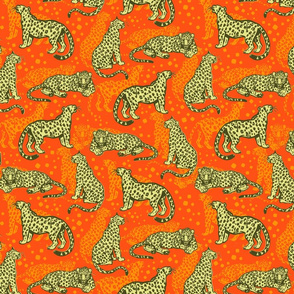 Zulu Leopards by Cheerful Madness!!