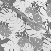 Grey and White Monstera Leaves