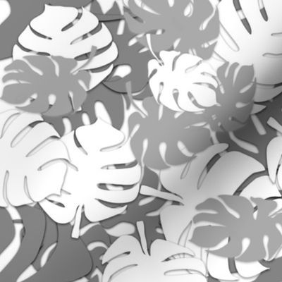 Grey and White Monstera Leaves