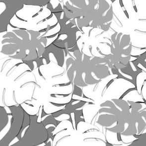Grey and White Monstera Leaves