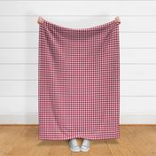 5/8" cinnamon red and white gingham