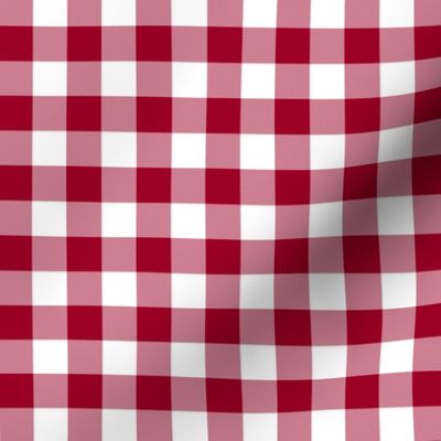 5/8" cinnamon red and white gingham