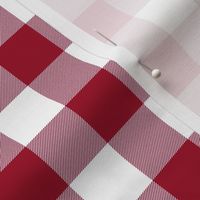 1" cinnamon red and white gingham check