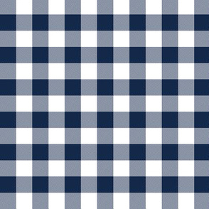 Navy and white 5/8" check