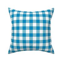 1" Bright blue and white gingham