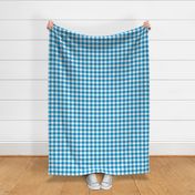 1" Bright blue and white gingham