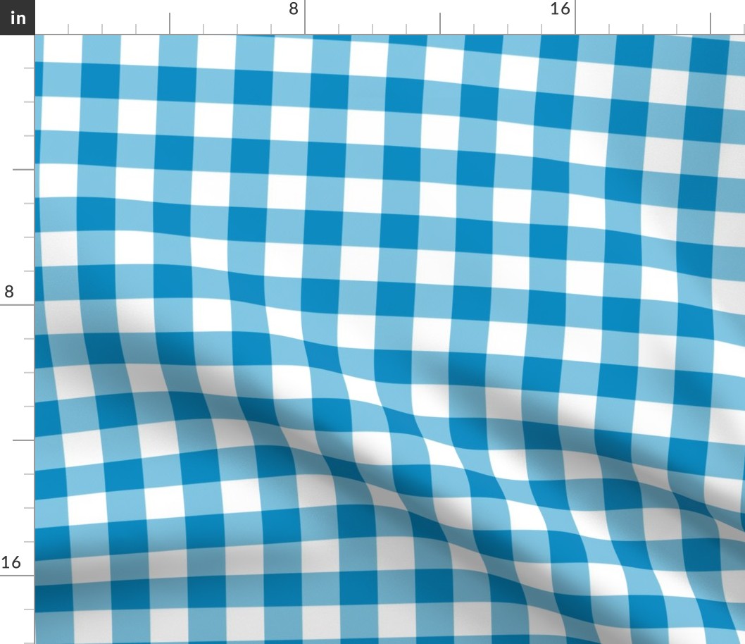 1" Bright blue and white gingham