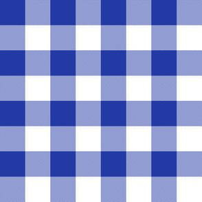 1" Morning blue gingham check