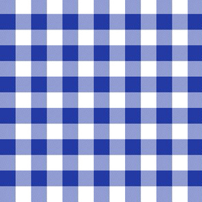 morning blue 5/8" gingham