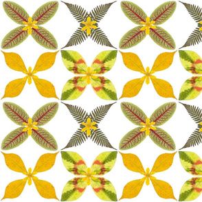 Real leaf pattern