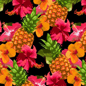Hibiscus & Pineapples
