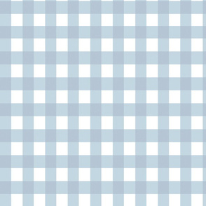 Gingham fabric baby blue