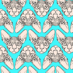 Sphynx_fabric_2