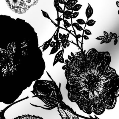 Black roses and  floral skulls graphic 