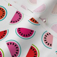 Lush summer watermelon fruit geometric water melon colorful tropical retro circle design red pink mint