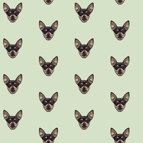 Chihuahuas // Light Green