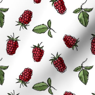 Raspberry, on white