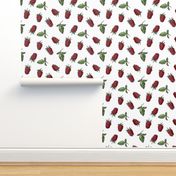 Raspberry, on white