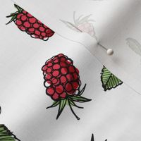 Raspberry, on white