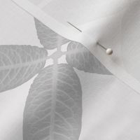 Grey leaf geometric pattern