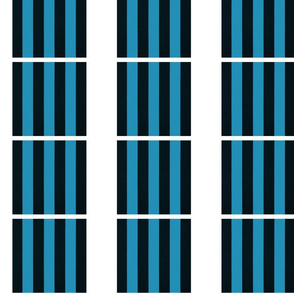 Vertical Black and Blue Stripes