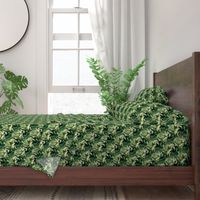spiky cacti 
