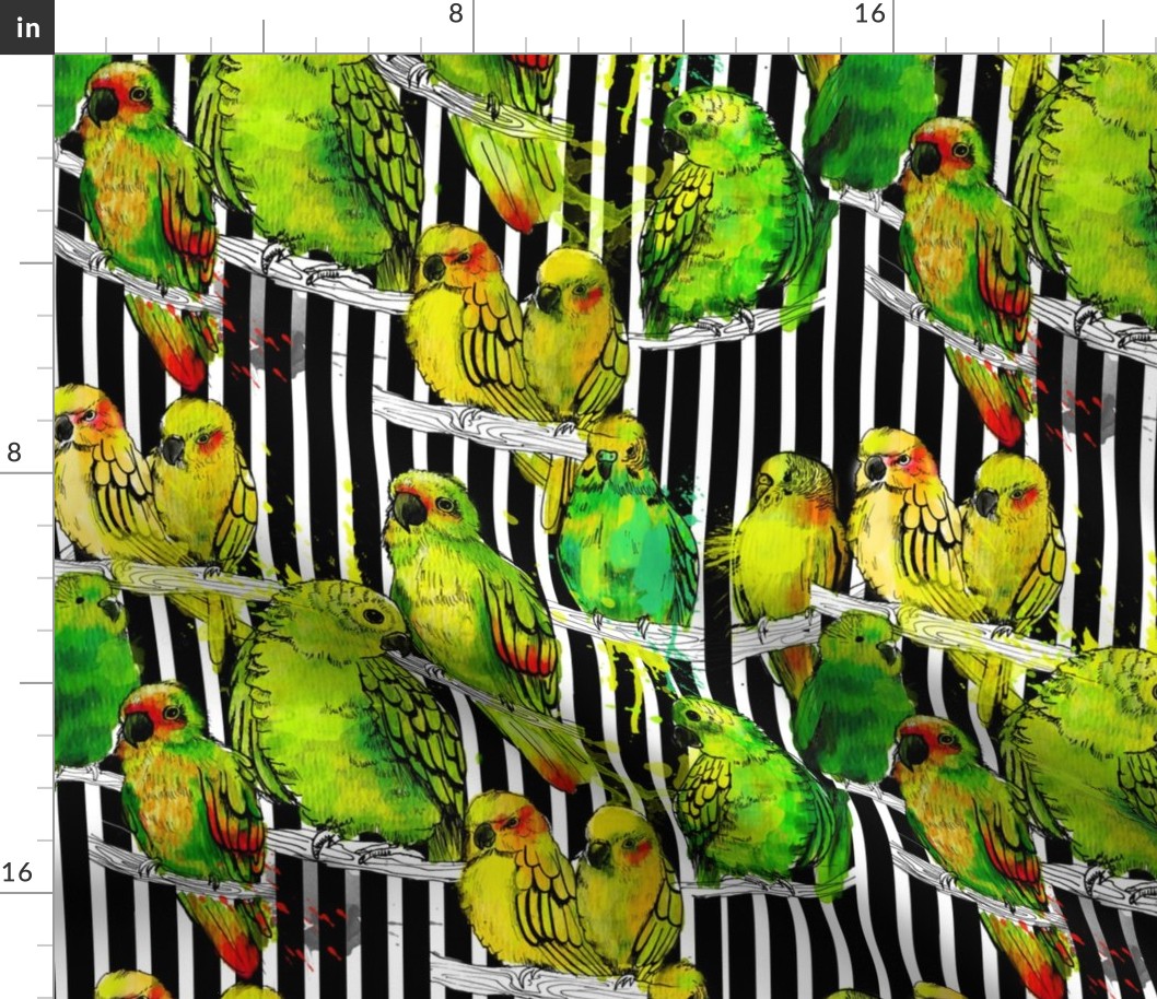watercolor parrots and black stripes