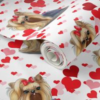 Yorkie Pink Red hearts Small