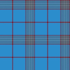 Norris tartan #2, 4" bright