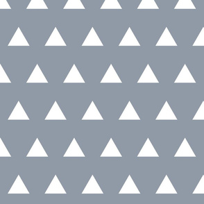 Triangles // Pantone 174-4