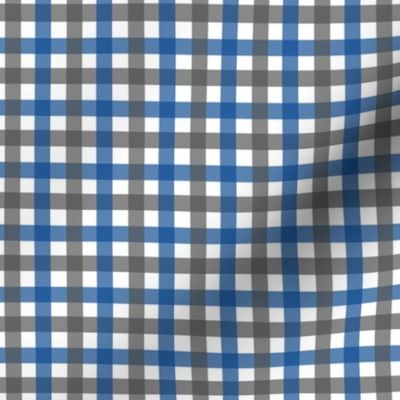 Blue and Charcoal Gingham